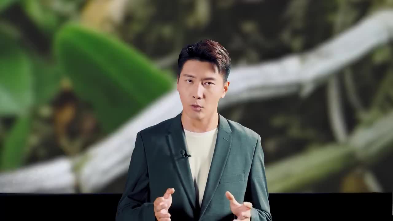 新闻大求真:松茸(现已入保)