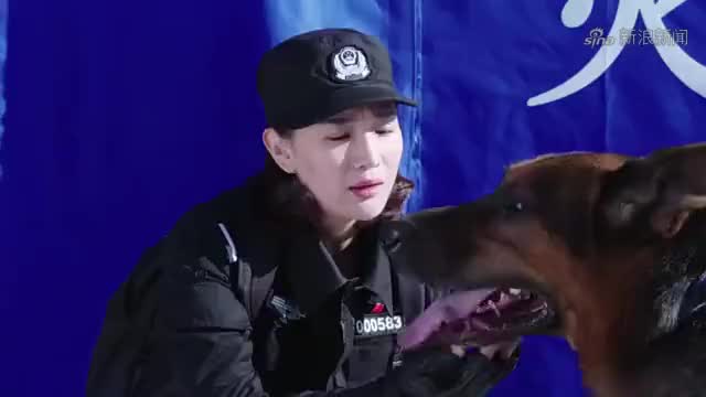 警花与警犬:关键时刻,警犬用自己换来了姝寒的安然无恙!
