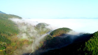 麻街岭云海红叶