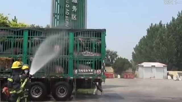 天太热,“二师兄”差点成烤猪 消防员用水枪喷水降温