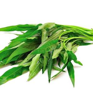 空心菜被指是 万毒之王 是时候说清楚了 手机新浪网