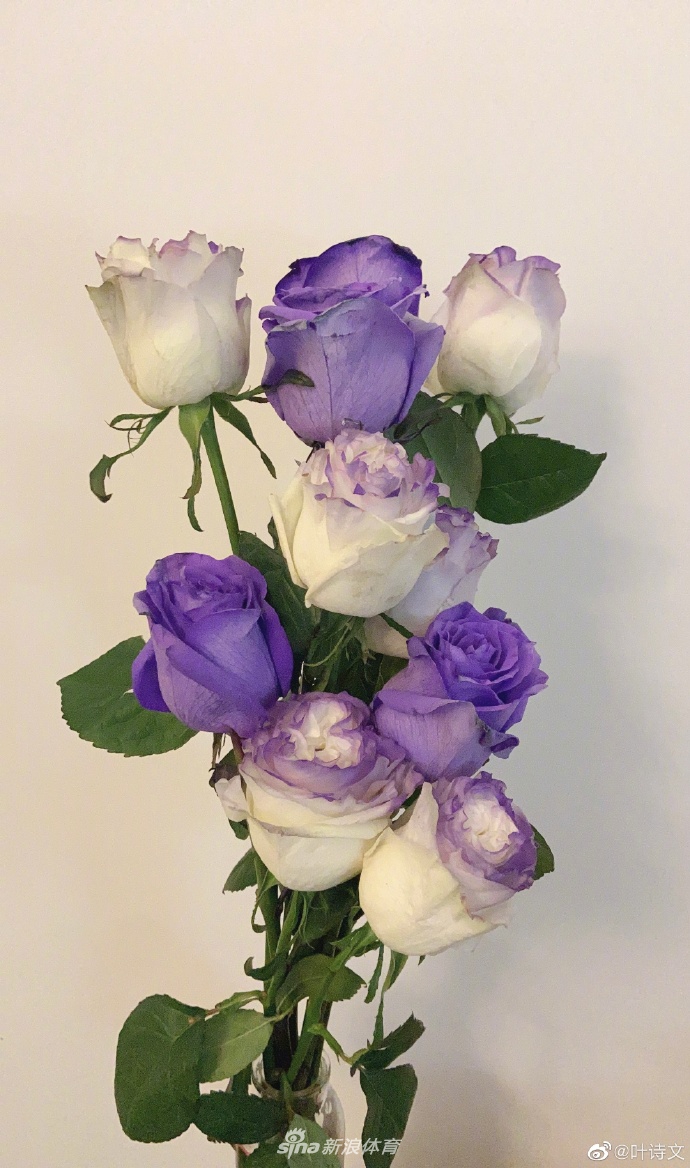 叶诗文晒美拍告别海埂 粉丝赞叹美出新高地