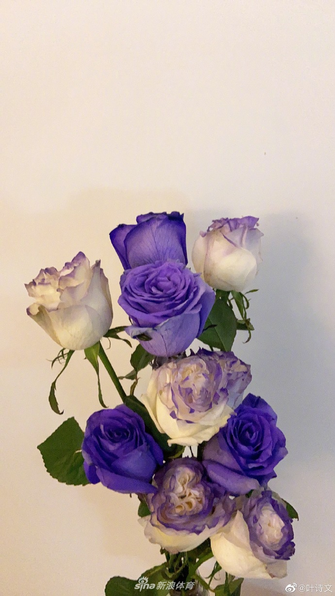 叶诗文晒美拍告别海埂 粉丝赞叹美出新高地