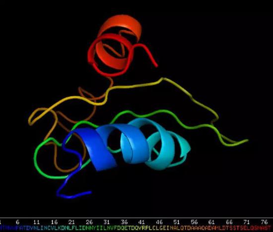 LEF-10的蛋白结构预测。图片来源：参考文献[1]