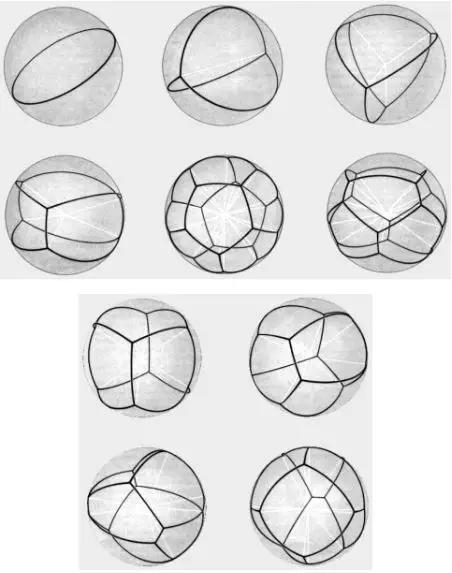 图5。 10种球面上以120°相交的测地线构型