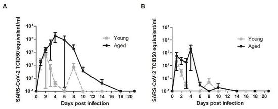 ▲鼻拭子（左）和咽拭子（右）检测结果显示，感染新冠病毒的食蟹猕猴很快开始排出病毒并达到高峰（图片来源：参考资料[1]）