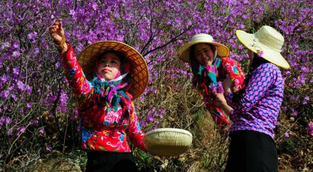 大美桦甸——少一份环境污染，多一份生态自然