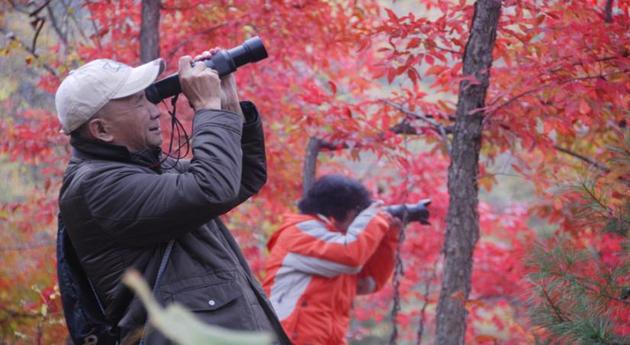 桦甸好风光，走进长寿乡