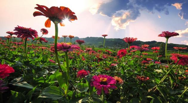 阳光普照，大城桦甸，一见倾心，不见不散