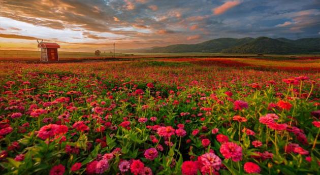 山水看遍九十九，不如桦甸走一走