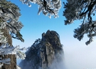 黄山雪后风光