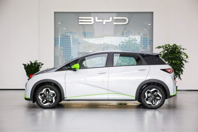 “海洋美学”& e平台 3.0首款车型 比亚迪海豚新车到店