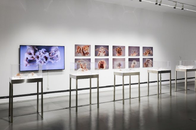 一汽奥迪打造Ms.Audi真我·先锋嘉年华