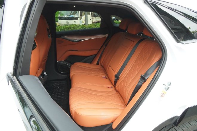 The two-car experience of the seed player seal 06DM-i/ sea lion 07EV in the ocean.