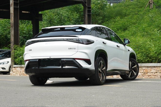 The two-car experience of the seed player seal 06DM-i/ sea lion 07EV in the ocean.