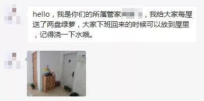 自如管家送来的两盆绿萝，说用来除甲醛