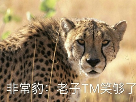 囧哥说事170304:教你做人!高手2小时夹走210个娃娃,店主气到报警