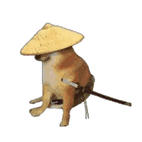 囧哥:嚣张！一男子为寻刺激潜入女子家中现炒菜偷喝茅台休闲区蓝鸢梦想 - Www.slyday.coM