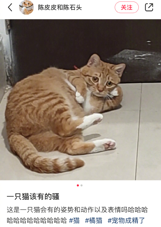 囧哥:嚣张！一男子为寻刺激潜入女子家中现炒菜偷喝茅台休闲区蓝鸢梦想 - Www.slyday.coM