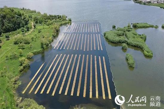 专家:大理西湖光催化治理具有推广应用价值