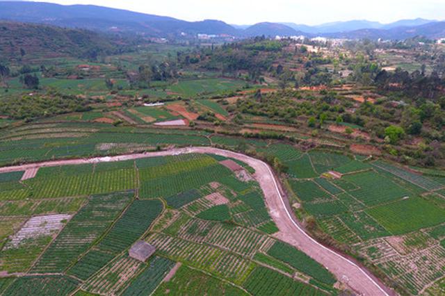 建水青龙镇排楼坡等3个村土地整治项目成效显著