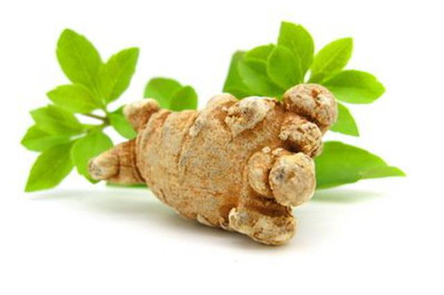 云品丨云南三七价格回暖 春节临近销量增多价格微涨