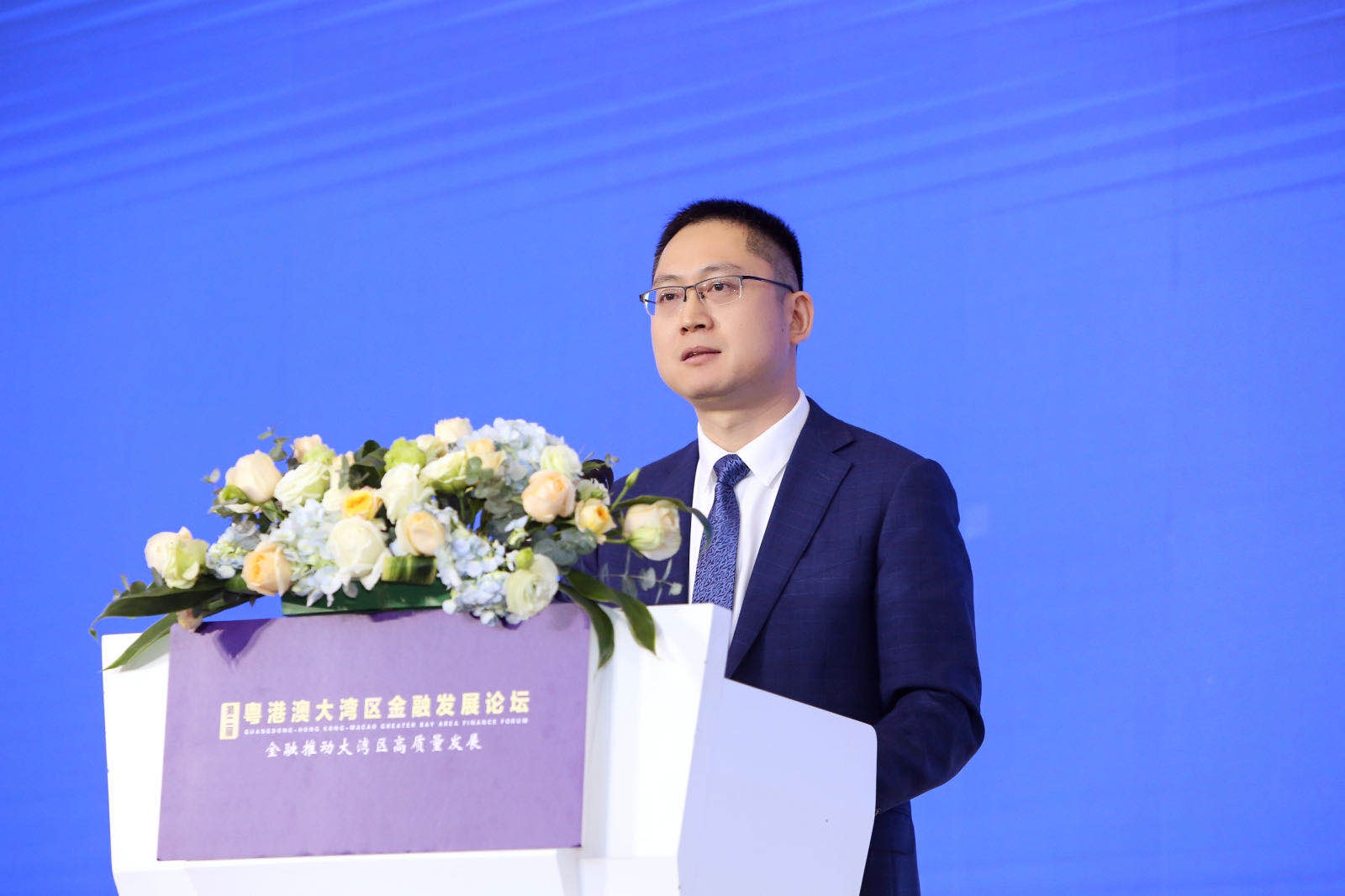 第二届粤港澳大湾区金融发展论坛 央行金融稳定局局长王景武演讲