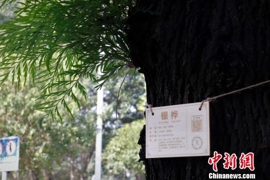 江西一高校学生为200株植物打造专属身份证