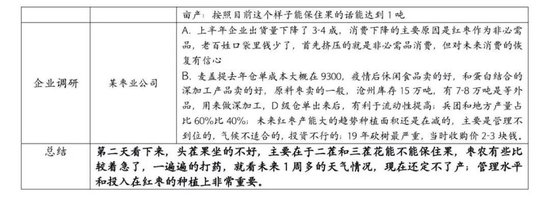 【调研报告】新疆红枣调研总结