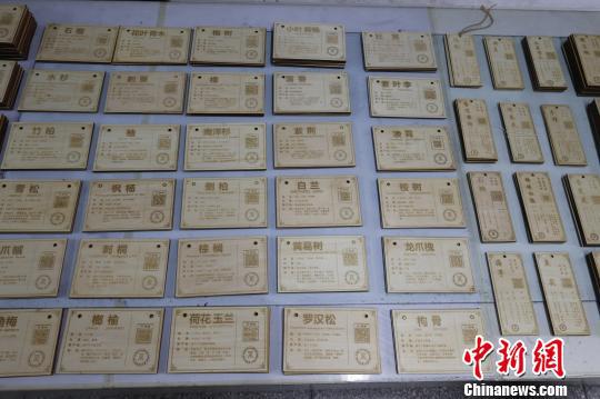 江西一高校学生为200株植物打造专属身份证