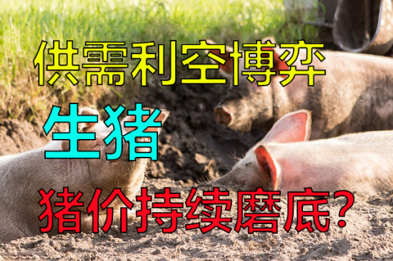 供需利空博弈,猪价持续磨底?