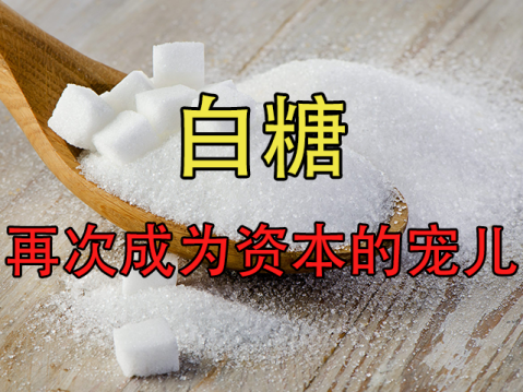 【中粮视点】白糖:再次成为资金的宠儿