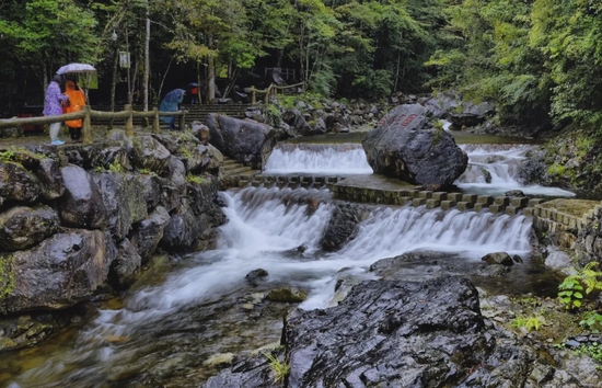 泰順旅遊開始派發總價值超1000萬的旅遊消費券啦