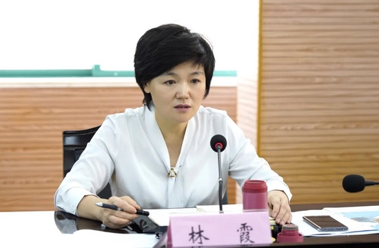 区委书记林霞主持召开专题会议