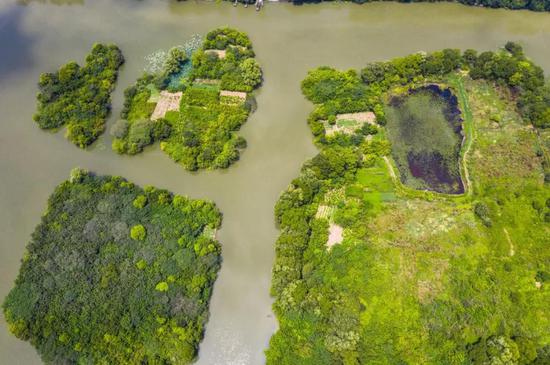 浙江又要新建6個省級溼地公園