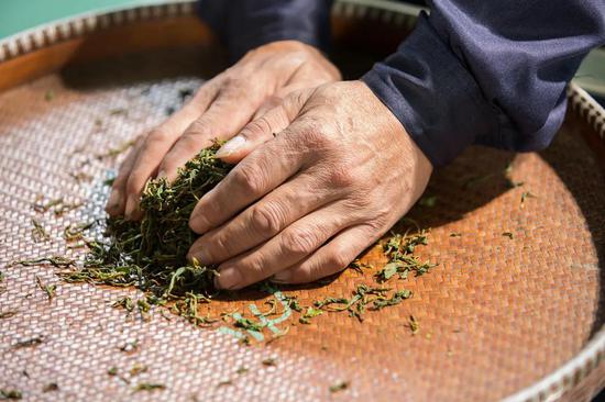 红茶知识小科普