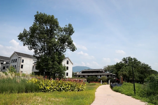 永嘉枫林镇江枫村小切口带动大变化