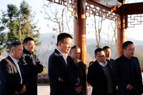 省农行行长冯建龙来泰顺调研