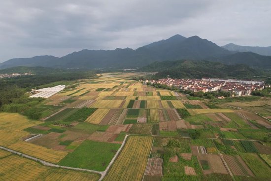 惠及815户括苍这个大项目开工啦