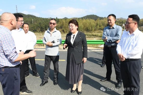 杨玲玲赴石梁镇调研督导重点项目