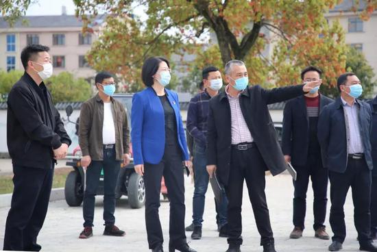 3月24日仙居县县委书记林虹带队赴基层调研