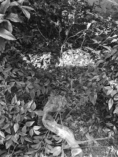 宁波5岁男孩独自在家从25楼坠落 及时送医仍遗憾去世