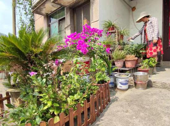 美丽庭院绘就乡村新画卷