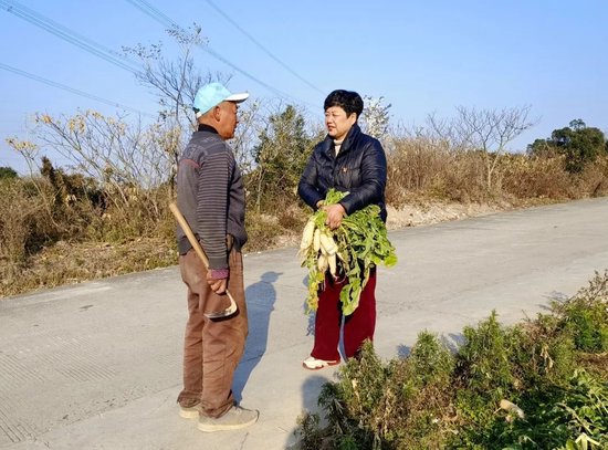 郑敏霞居委会大妈的为民路