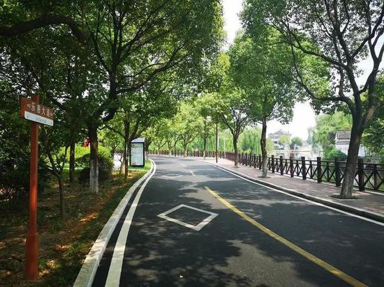 鉴湖街道王家葑村 "善谋"在实处 续写"3a"文章