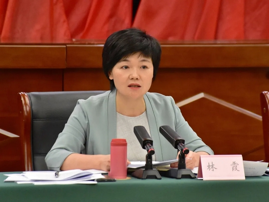 区委书记林霞主持召开共同富裕和"扩中提低"研究会