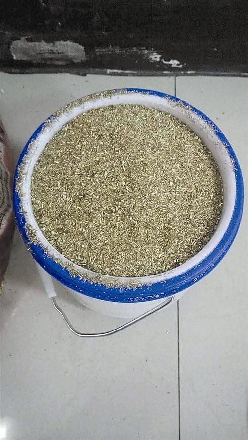 工资没预想高 台州一女子为解气用饭盒偷工厂铜屑_新浪浙江_新浪网