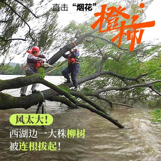 杭州市防指建议错峰上下班或在家办公 提醒民众少外出 - Vimarsana News