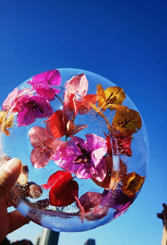 美丽冻人海宁花友手把手教你做冻冰花