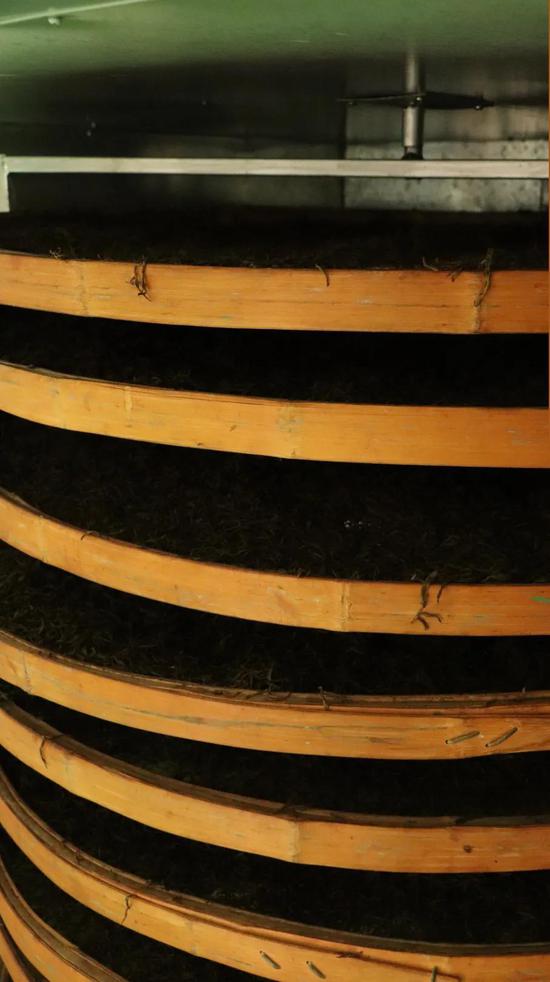 红茶知识小科普